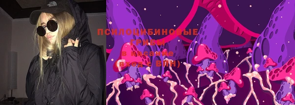 мдпв Верея