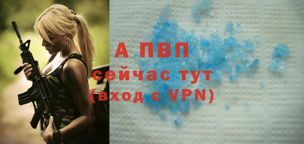 мдпв Верея