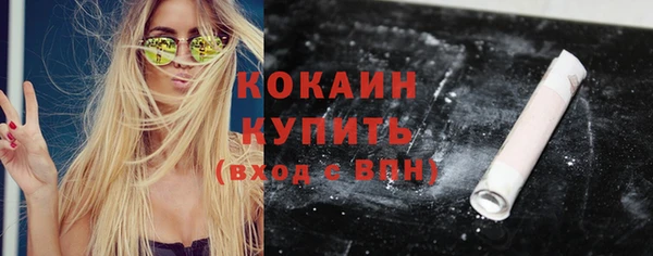 мдпв Верея