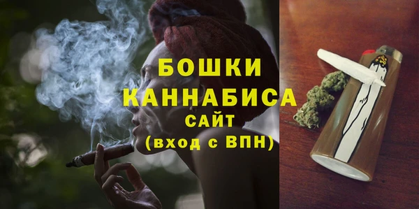 мдпв Верея